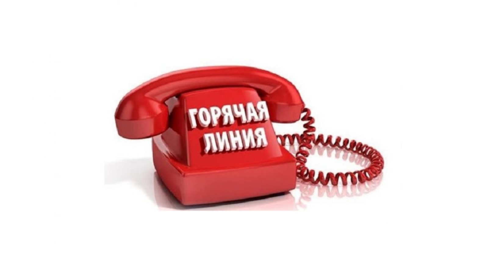 Роспотребнадзор проведет &quot;горячую линию&quot;.