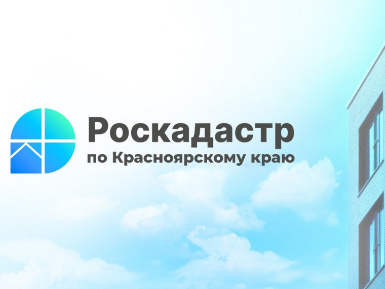 Почему в выписке из ЕГРН могут отсутствовать сведения о фамилии,  имени и отчестве собственника.