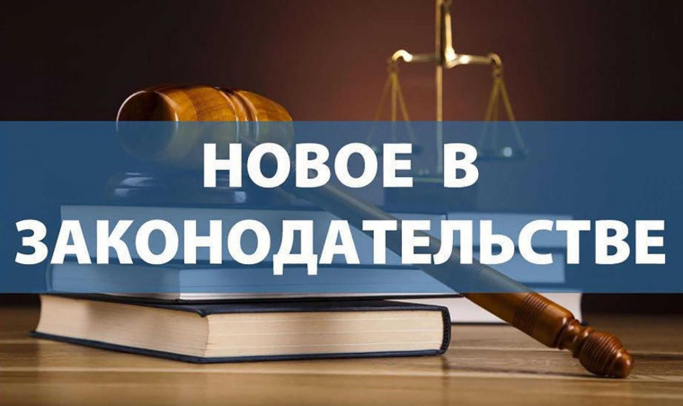 Порядок учета древесины на контейнерных площадках, предназначенных для отгрузки древесины железнодорожным транспортом. Порядок учета древесины на контейнерных площадках, предназначенных для отгрузки древесины железнодорожным транспортом.