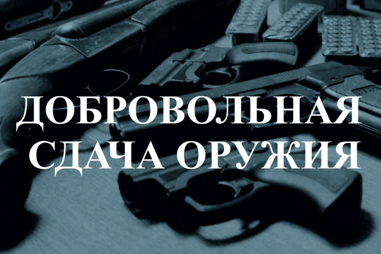 Добровольная сдача оружия. Добровольная сдача оружия.