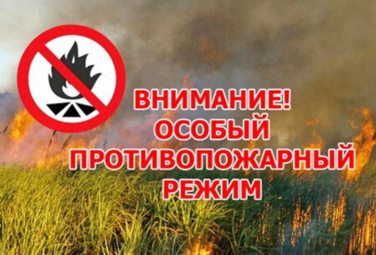 Прокуратура Красноярского края дает пояснение о мероприятиях во время действия особого противопожарного режима.. Прокуратура Красноярского края дает пояснение о мероприятиях во время действия особого противопожарного режима..